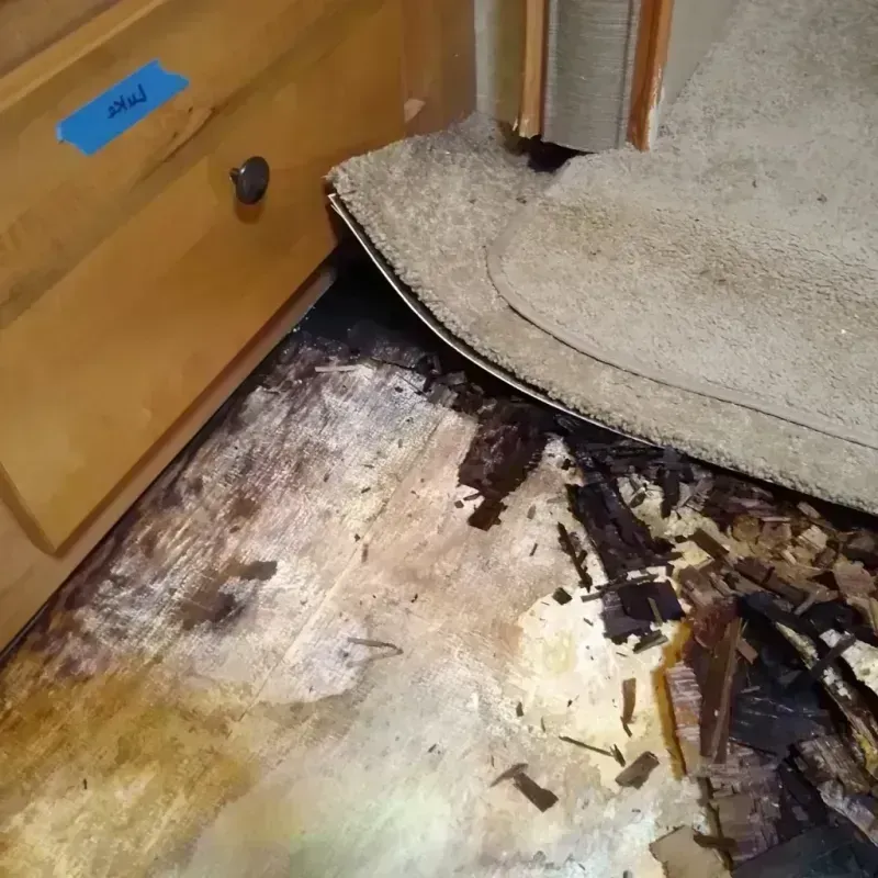 Wood Floor Water Damage in Jefferson County, NY